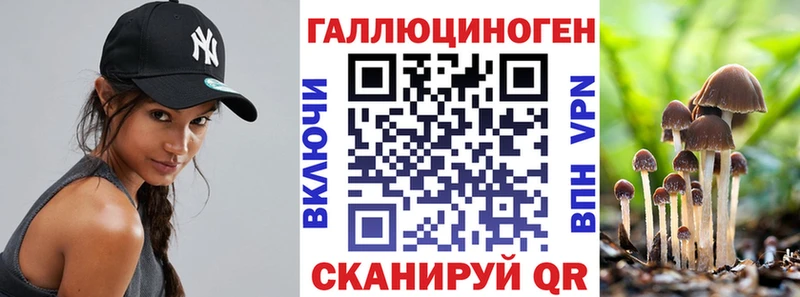 что такое   Пущино  Псилоцибиновые грибы мицелий 